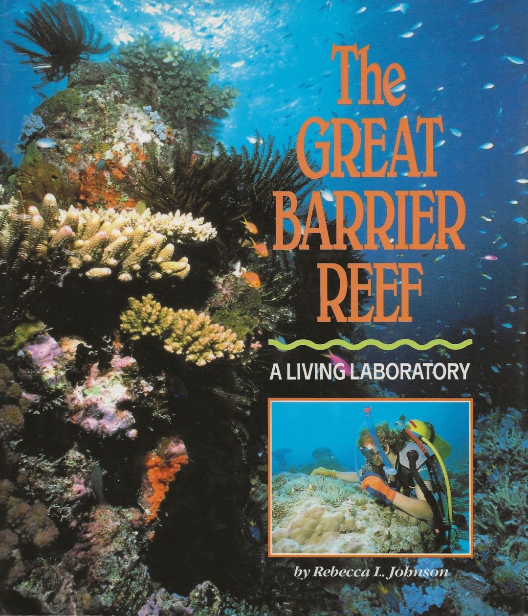 The Great Barrier Reef | Rebecca Johnson Books